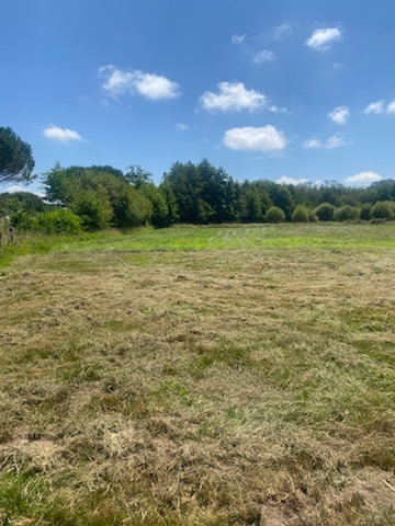 Aire camping-car  Arcachon (33120) - Photo 1